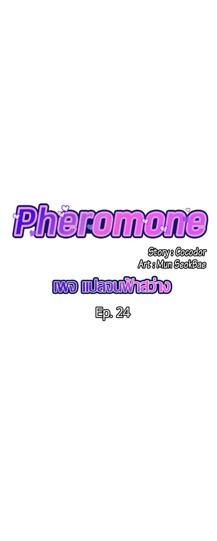 Pheromones-24