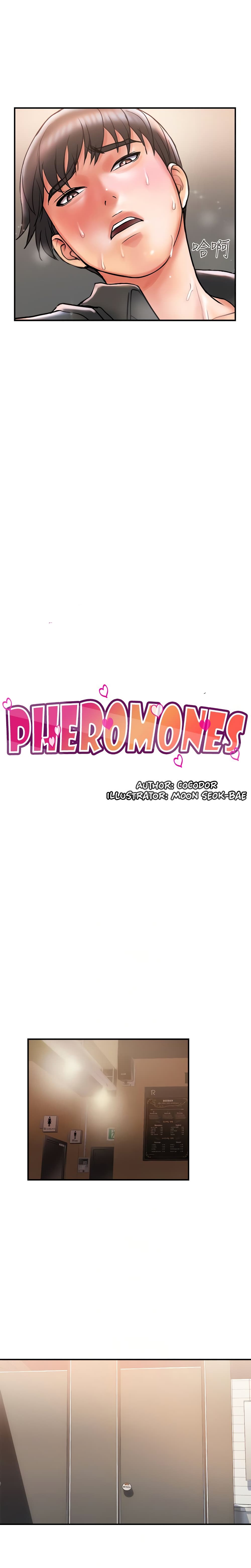 Pheromones-4