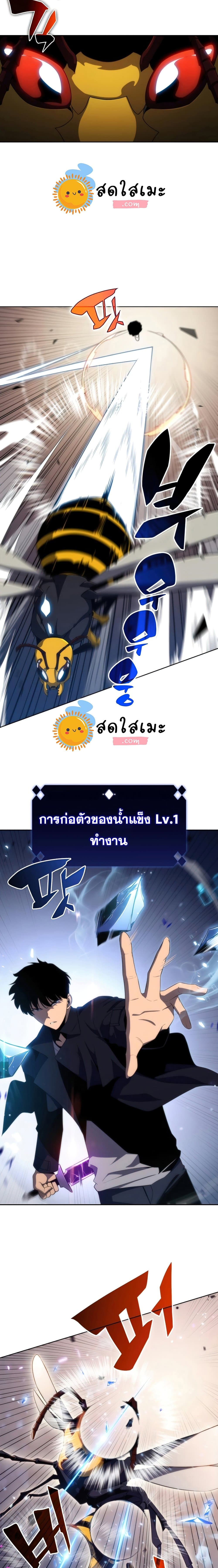 Solo Max-Level Newbie ผู้เล่นหน้าใหม่เลเวลแมกซ์-30